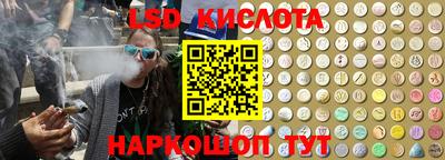 СК Новокубанск