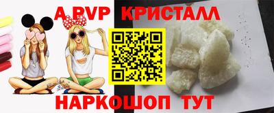 СК Новокубанск